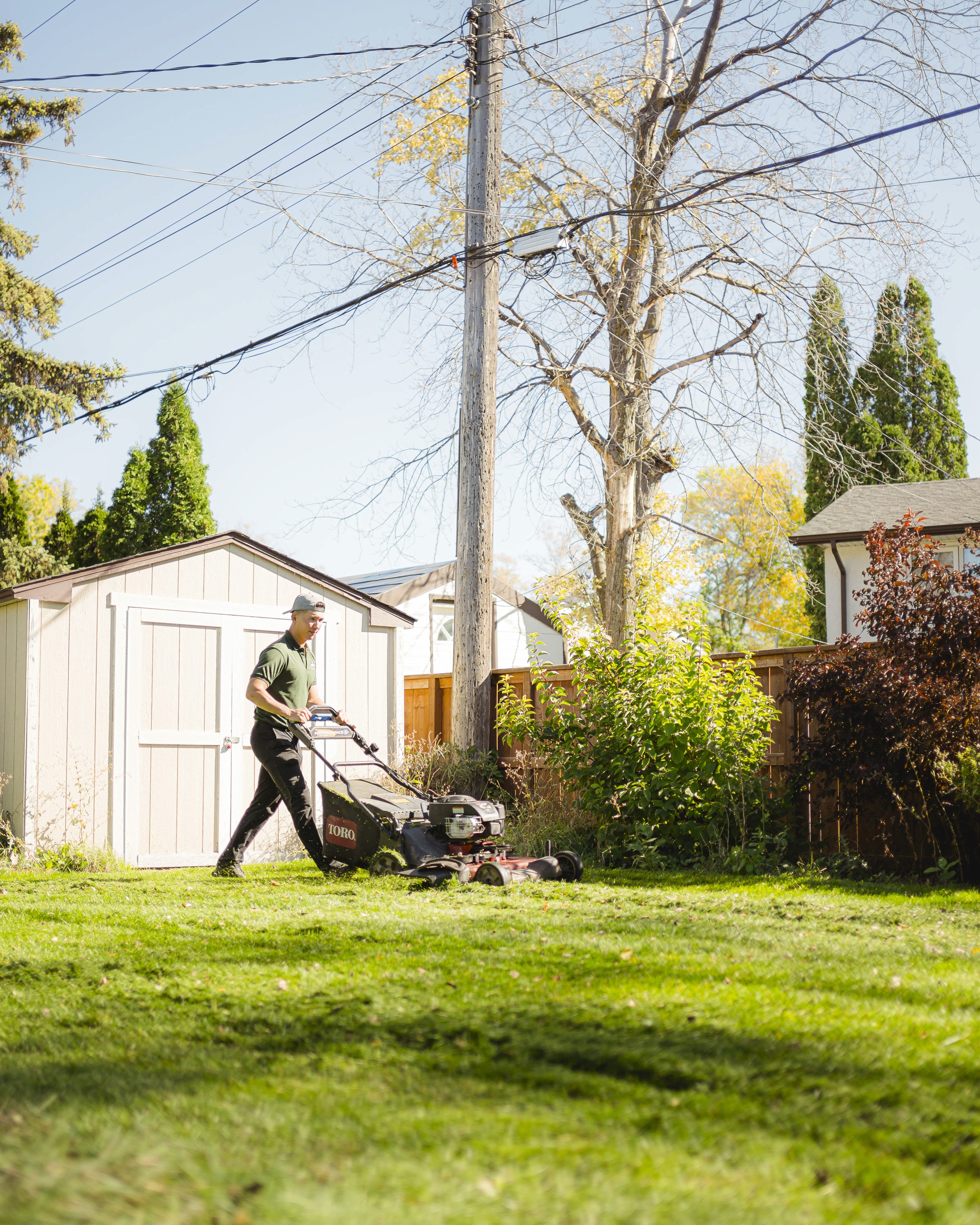 How Much Does Lawn Mowing Cost in Winnipeg? A Complete Guide