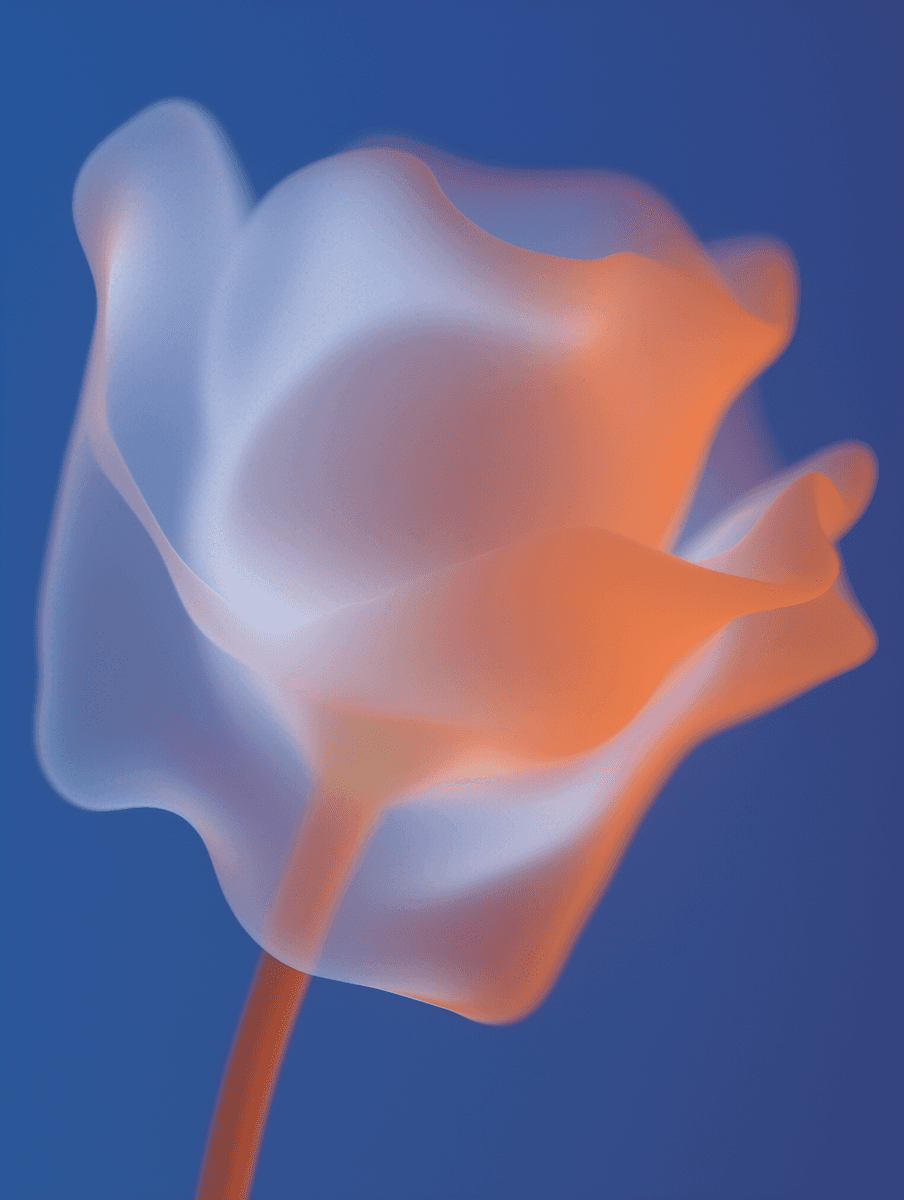 Close-up of a translucent tulip, orange and white glowing against a blue background.