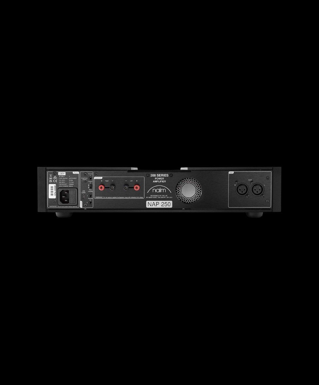 Naim NAP 250 back