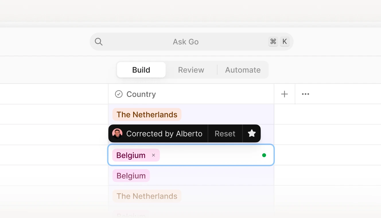 AI-assisted correction interface showing a user revising a country name in a database, with options for automated and manual adjustments.