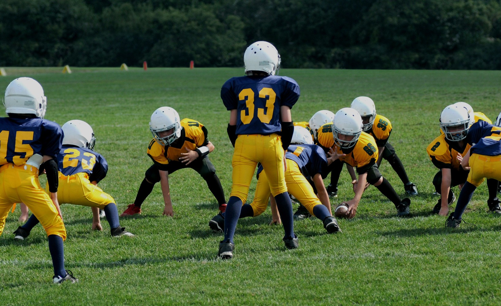 Youth football players lined up on a field during a game, representing the Next Great Player sports social network.