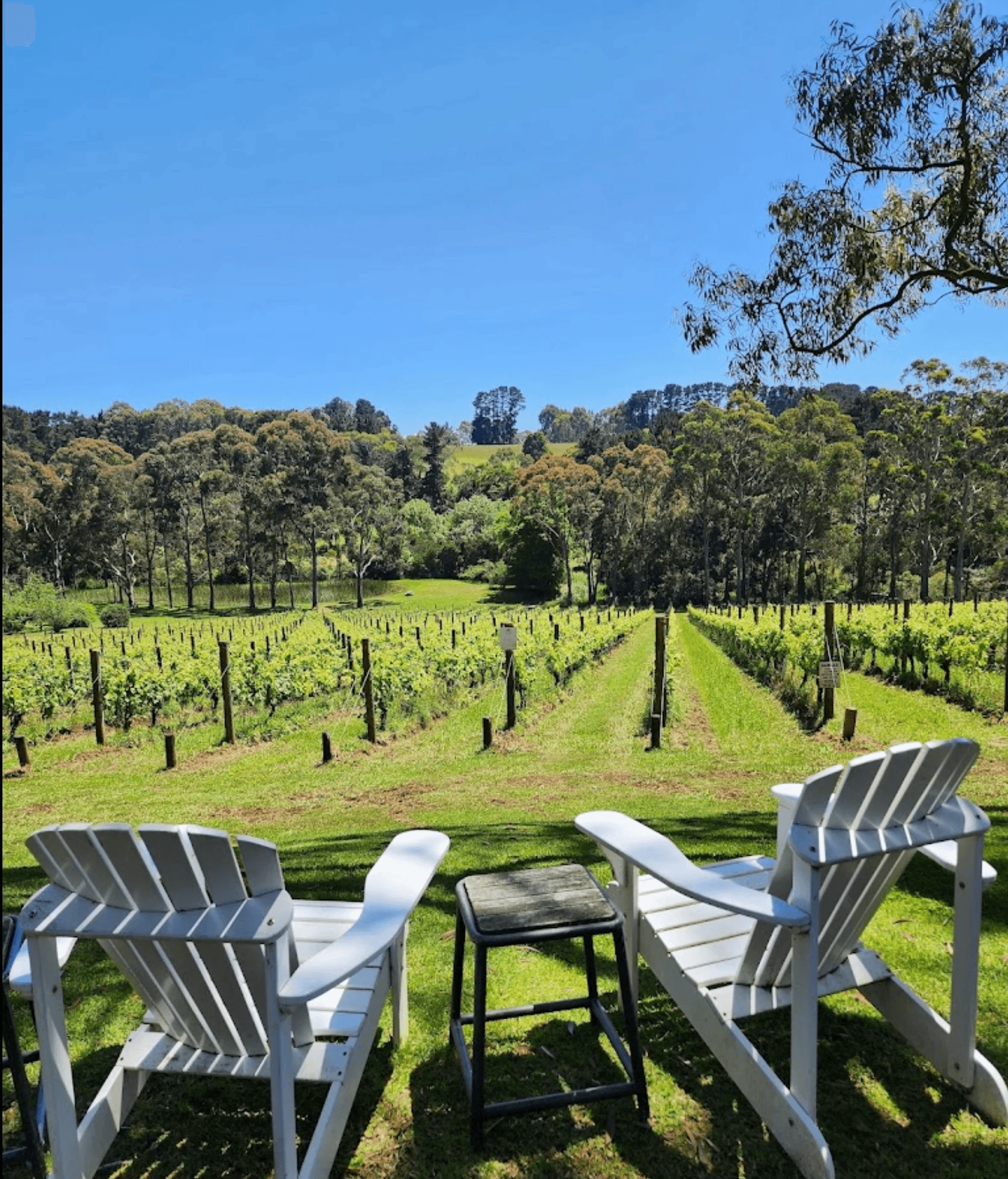 Polperro Winery VIC