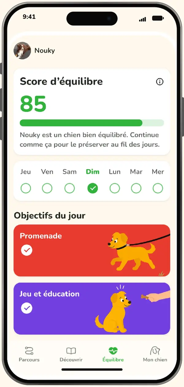 L’équilibre et les objectifs du jour Kyno sur iPhone