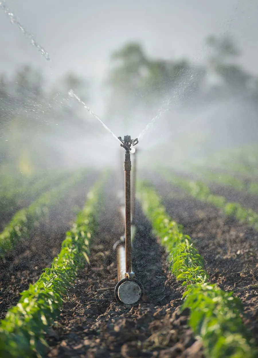 Irrigation Services Photo