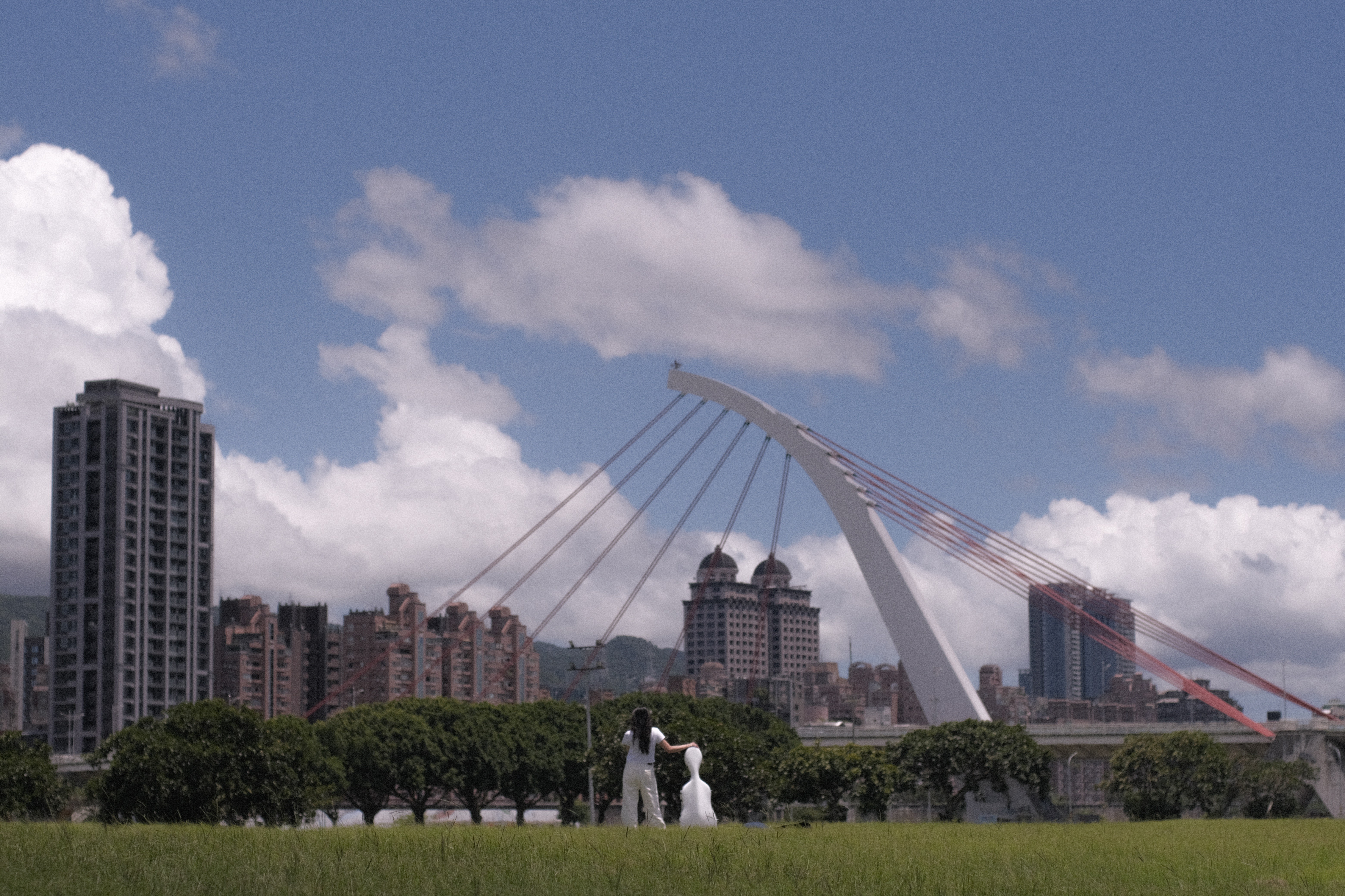 The Bridge Hero Image
