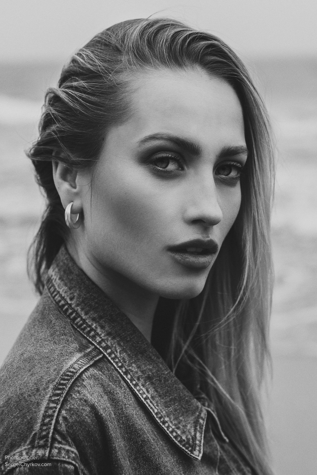 Seagulls by Sergei Chyrkov