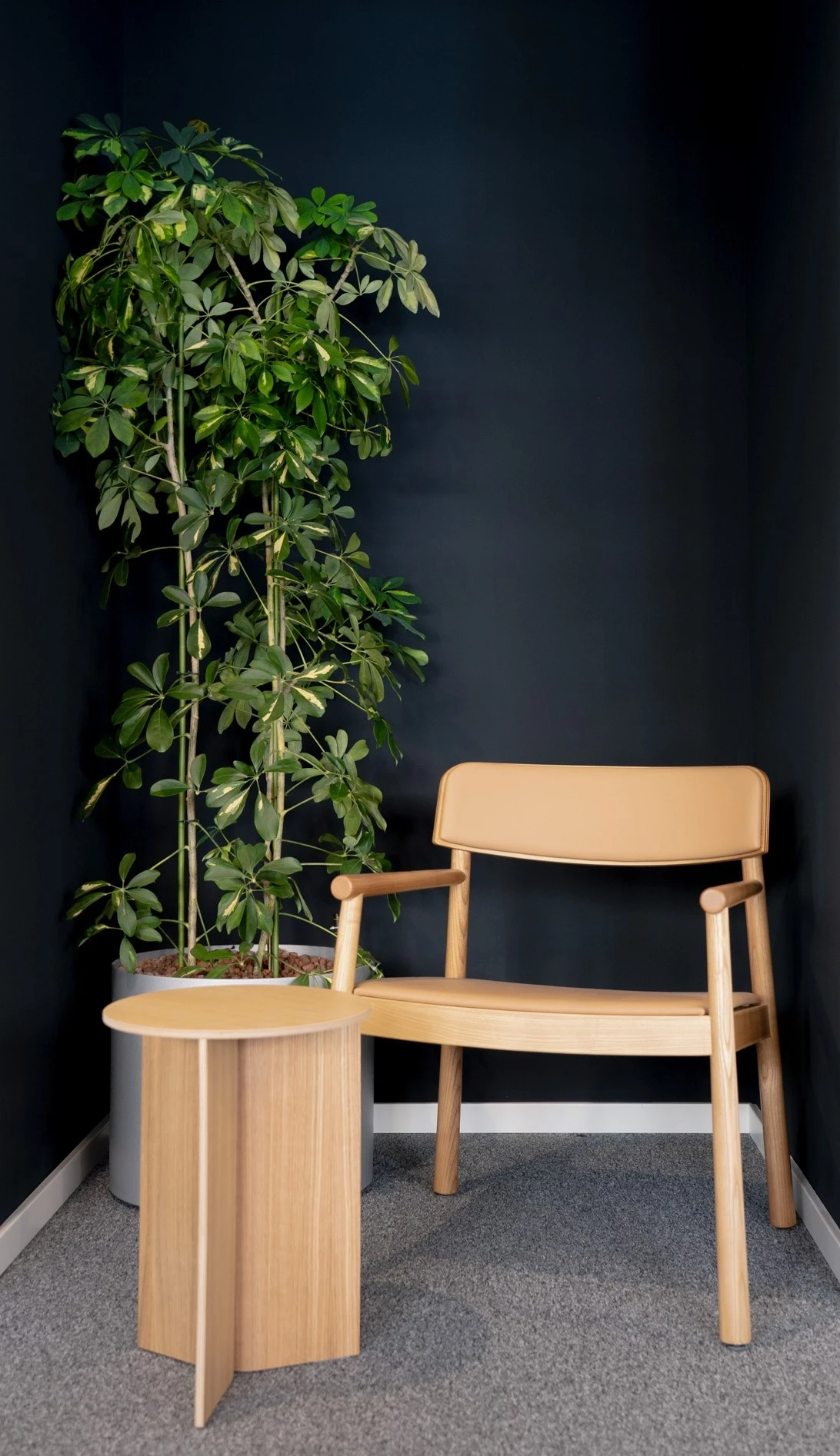 Dark lounge niche at AI START-UP MUNICH with black walls, a wooden lounge chair with caramel seat, a round oak side table and a tall schefflera plant.