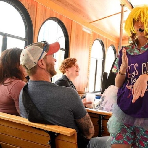 傻瓜萨凡纳指南