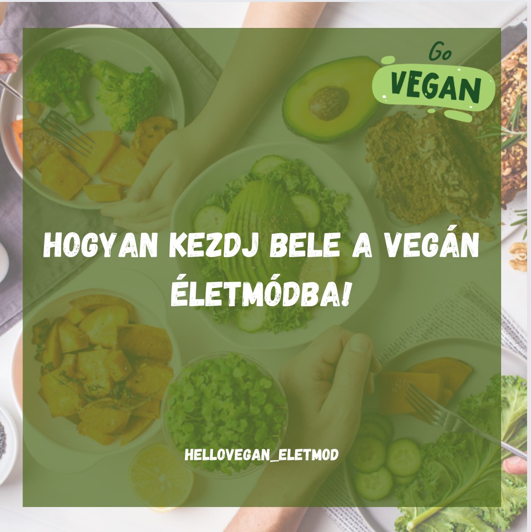 Hogyan térj át a vegán életmódra