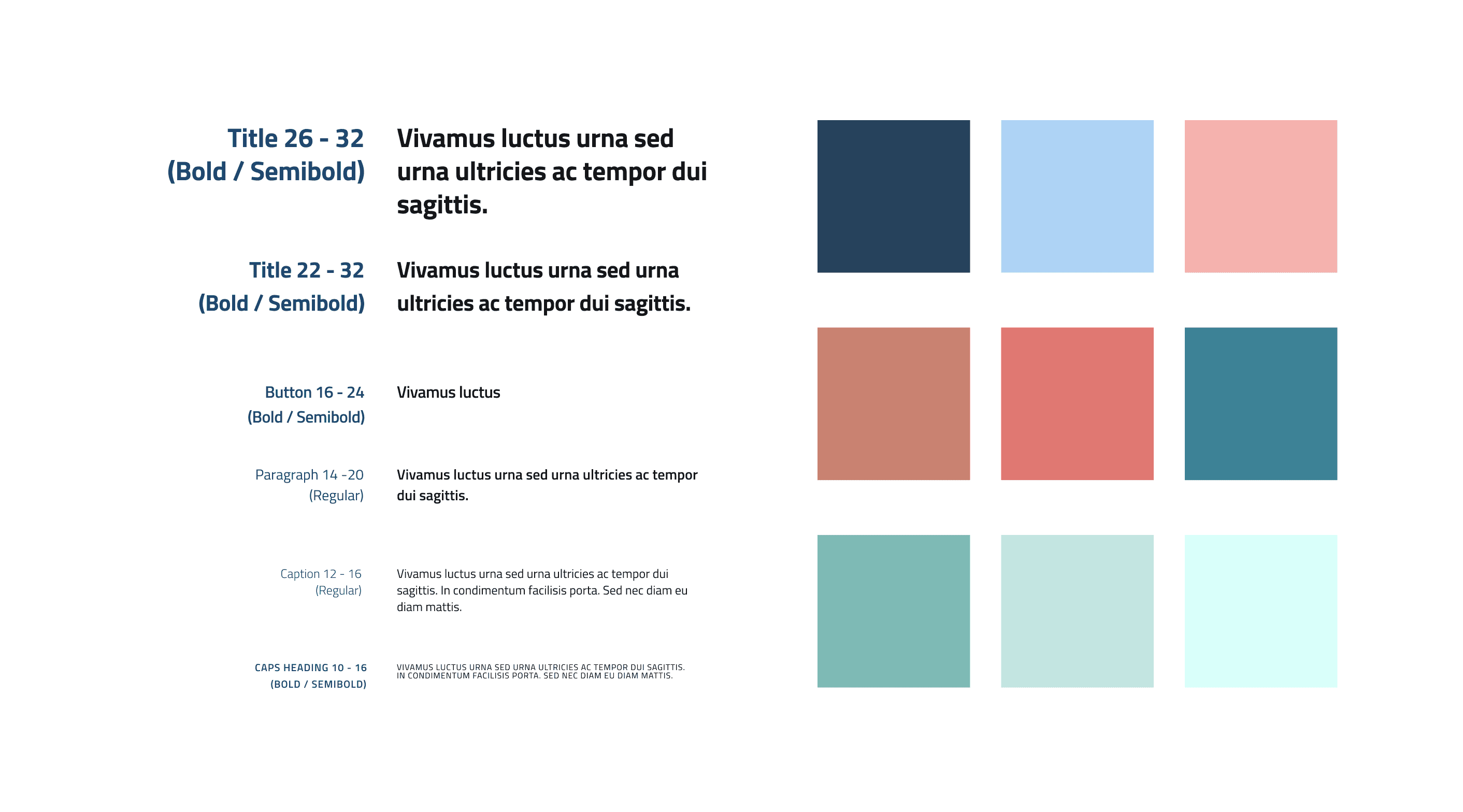 Typography and Color Pallete