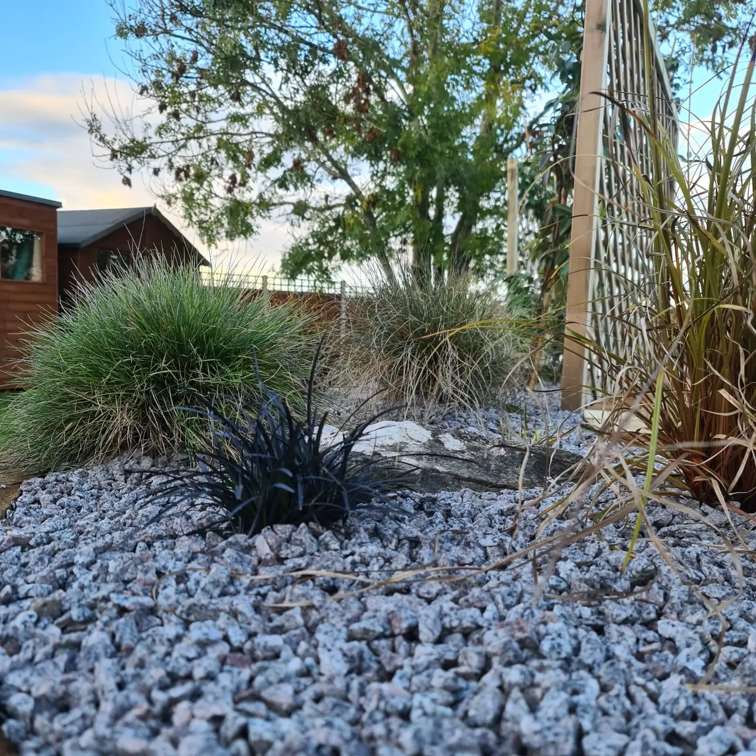 A landscaped area featuring various plants, gravel, and decorative stones under a blue sky with scattered clouds.