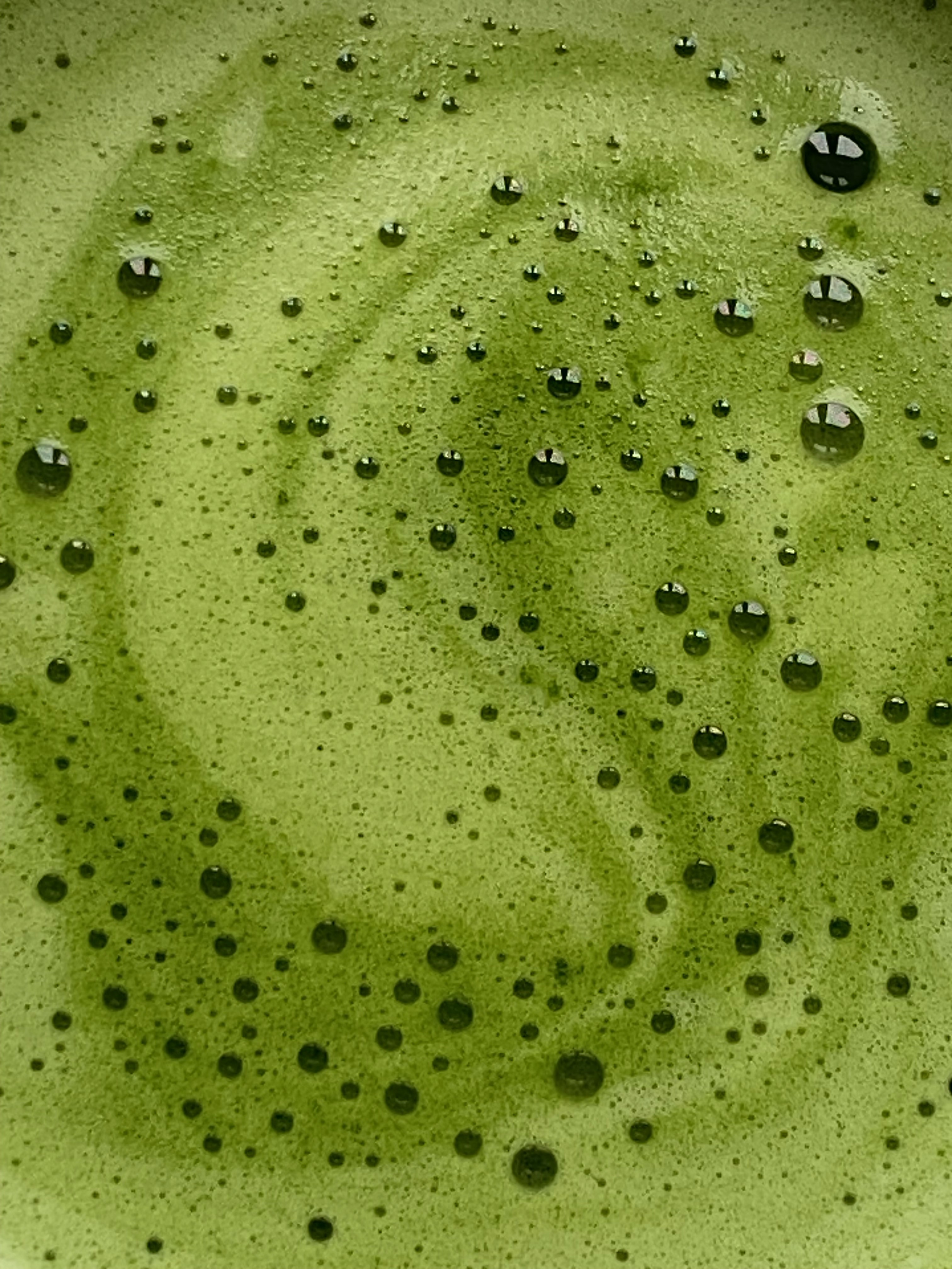 A close-up overhead shot of a vibrant green matcha drink with small bubbles on the surface.