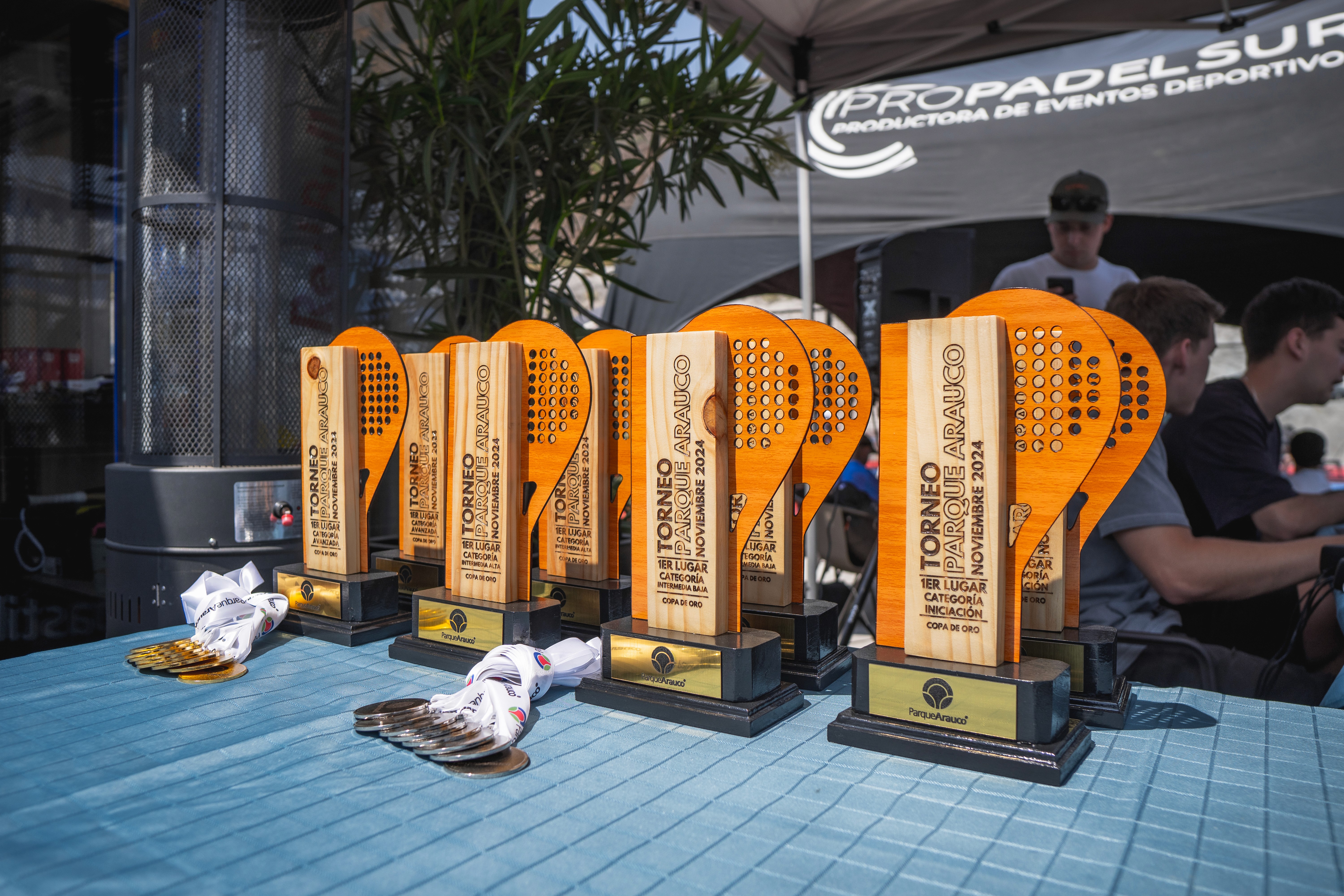 Coach explaining stuff to an athlete