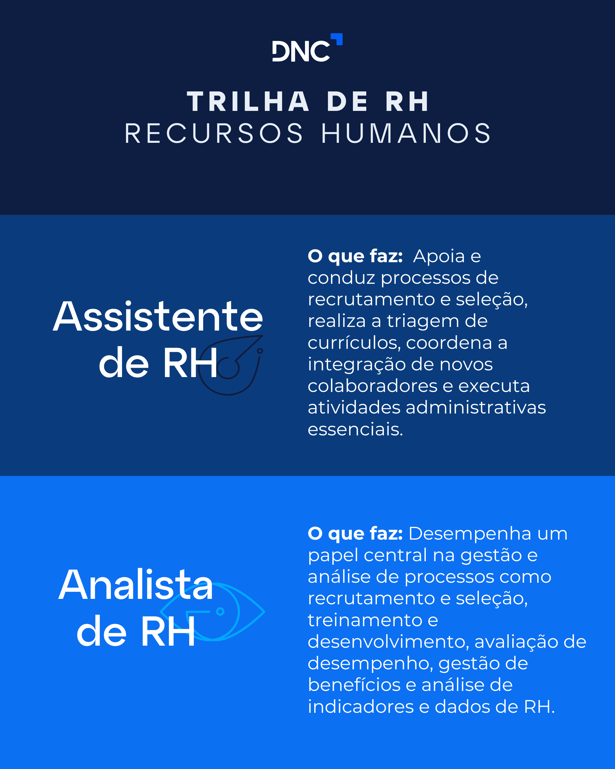Infrográfico textual monstrando a diferença entre assistente e analista de RH