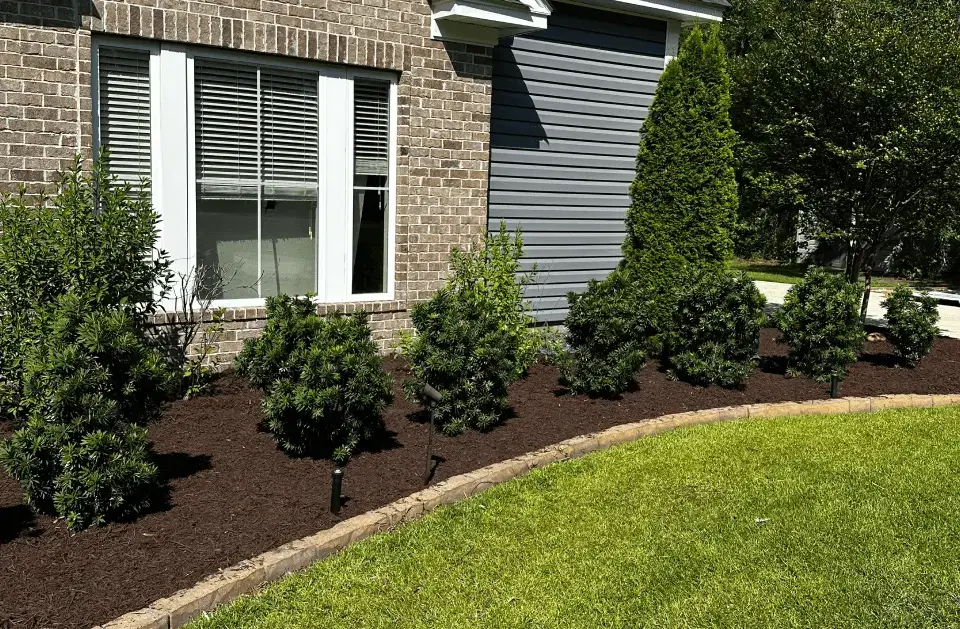 Modern landscaped garden showcasing professional outdoor design.