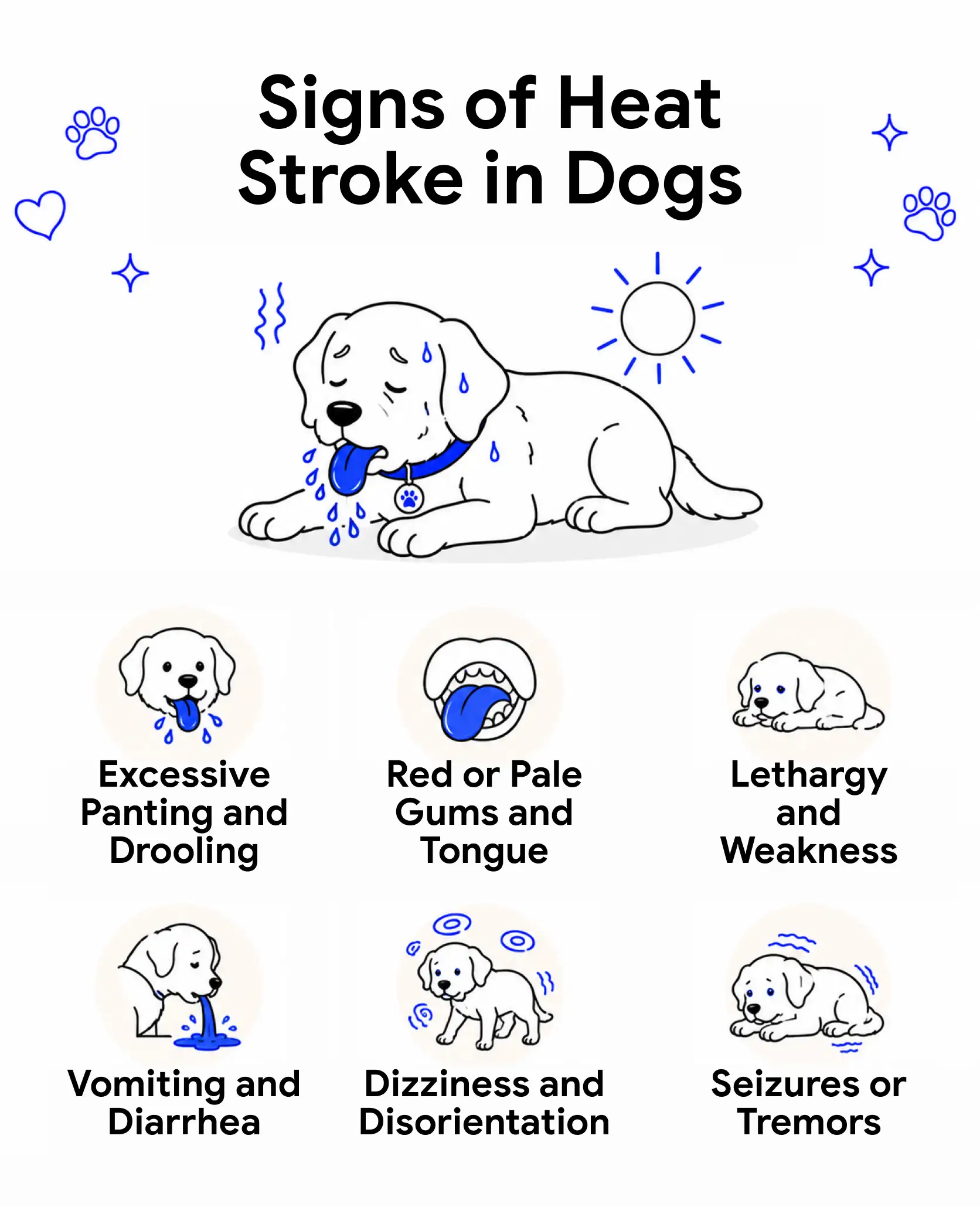 An infographic showing the signs of heat stroke in dogs.