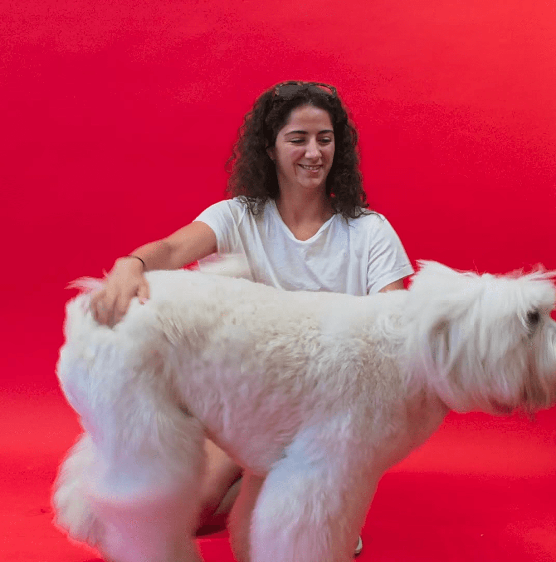 Happy portrait of a woman brushing her dog against a soft pink backdrop to express gentle care and joyful grooming experience.