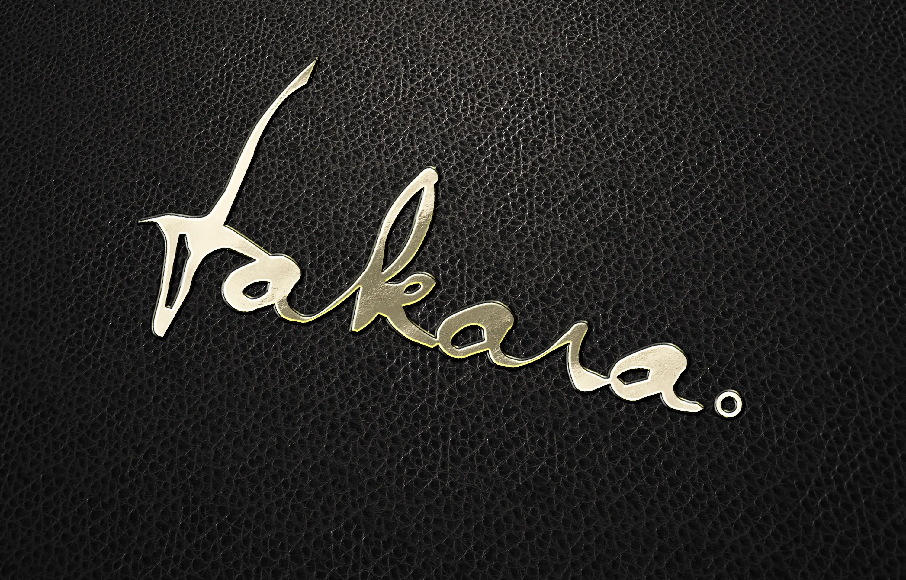 image of a guy carring a tote bag