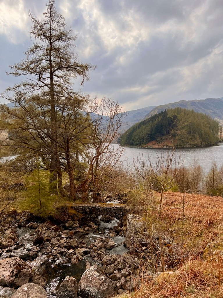 A stone bridge over a small, rocky beck that leads into Haweswater reservoir. Tall pine trees stand on the left. A rich forest and fells can be seen in the distance.