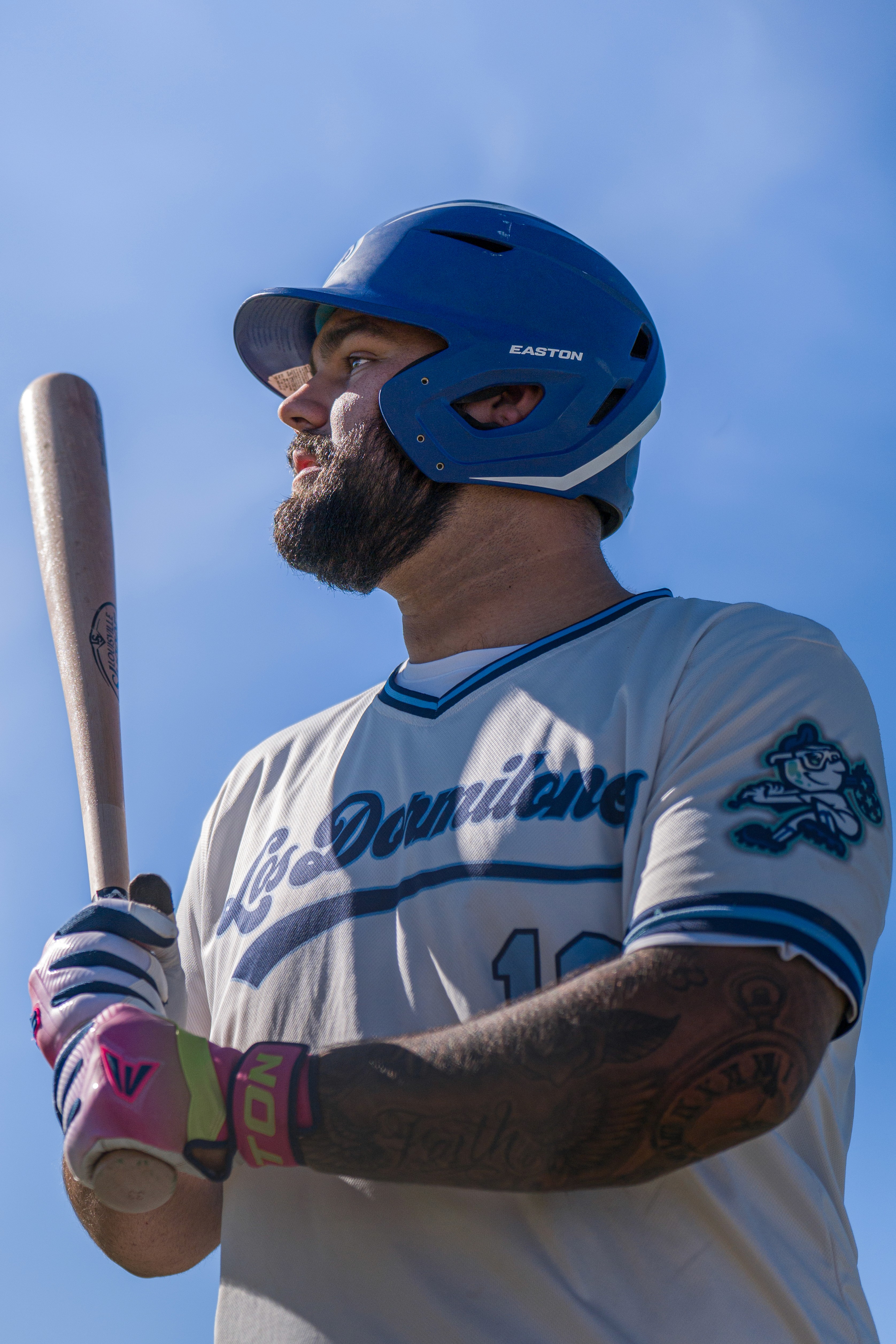 an elephant in the wild