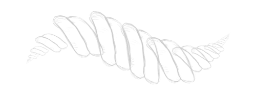 Rope