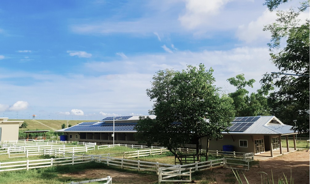 solar panel on roof