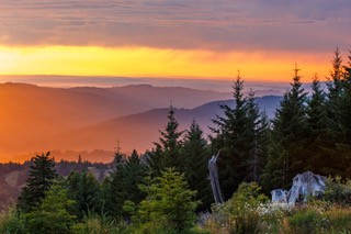 Follow our work on Instagram - Construktion X Framer Template