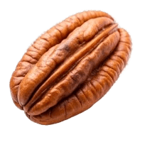 καρπός πεκάν