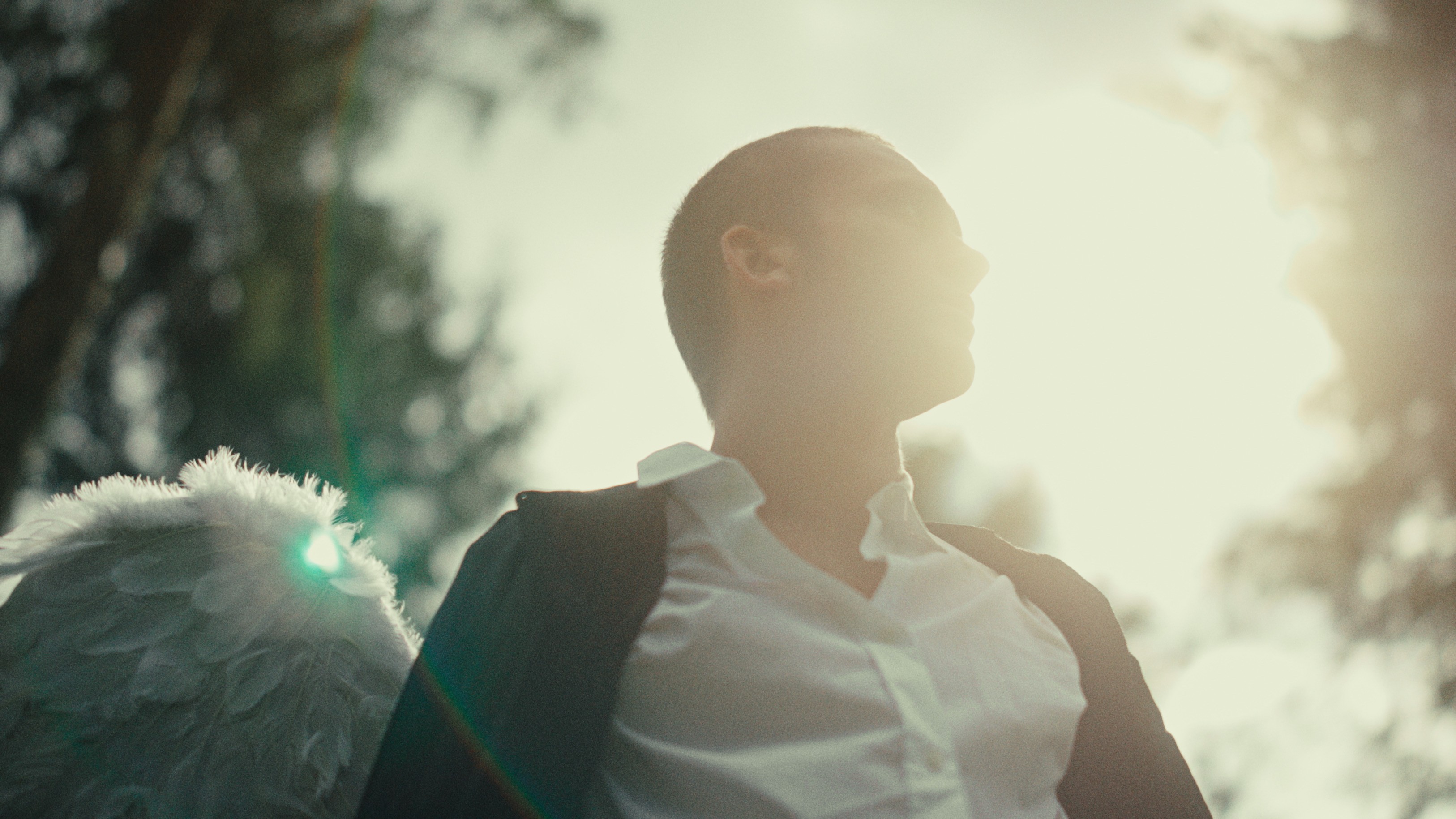 Dom Pérignon vineyards from the sky