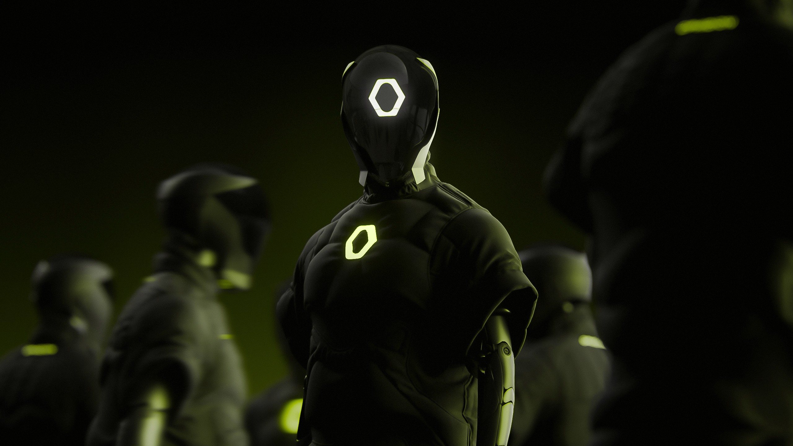 a close up of a bunch of red flowers