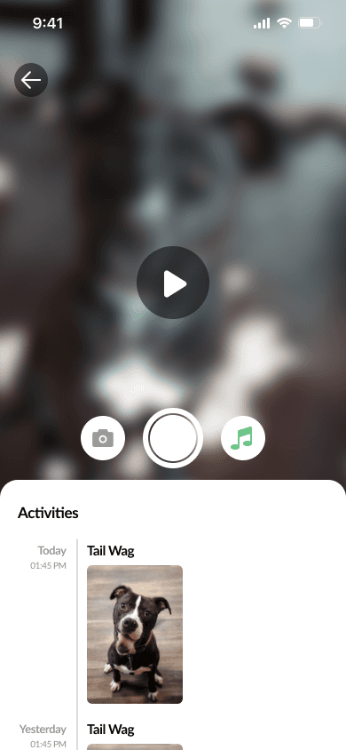 Petico screen 6
