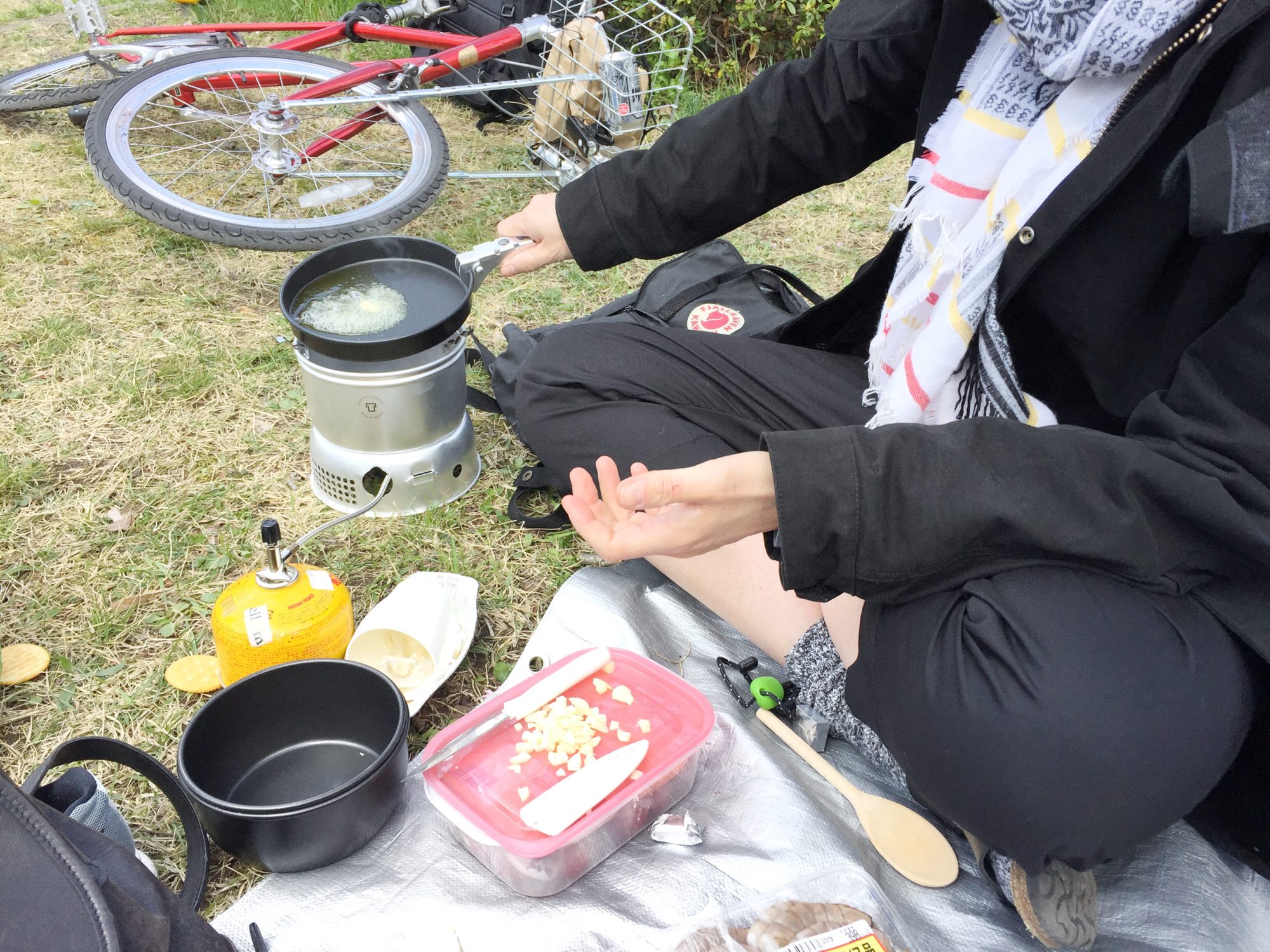 Hanami 2 e1493339325202