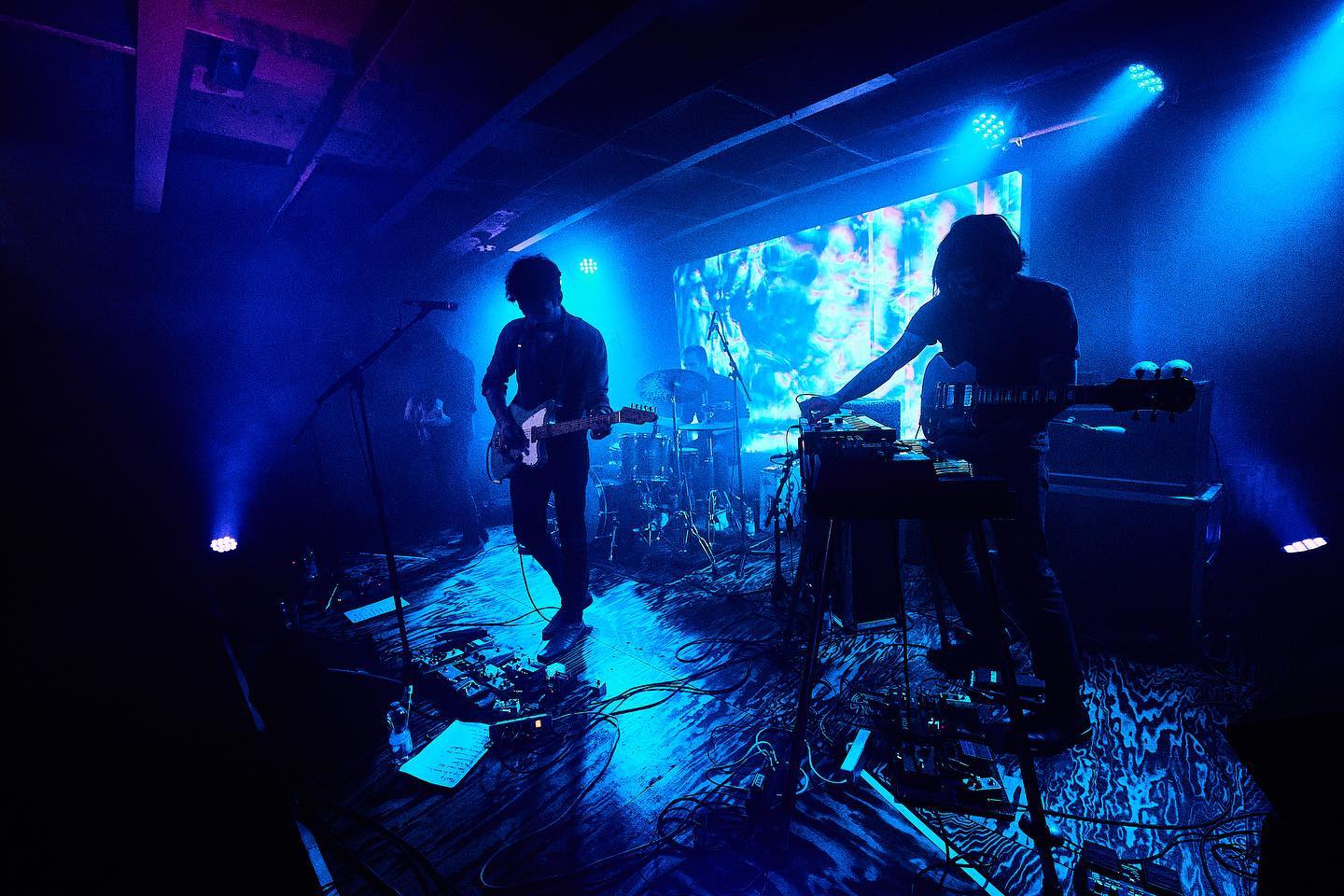 Harvey Rushmore & the Octopus promo