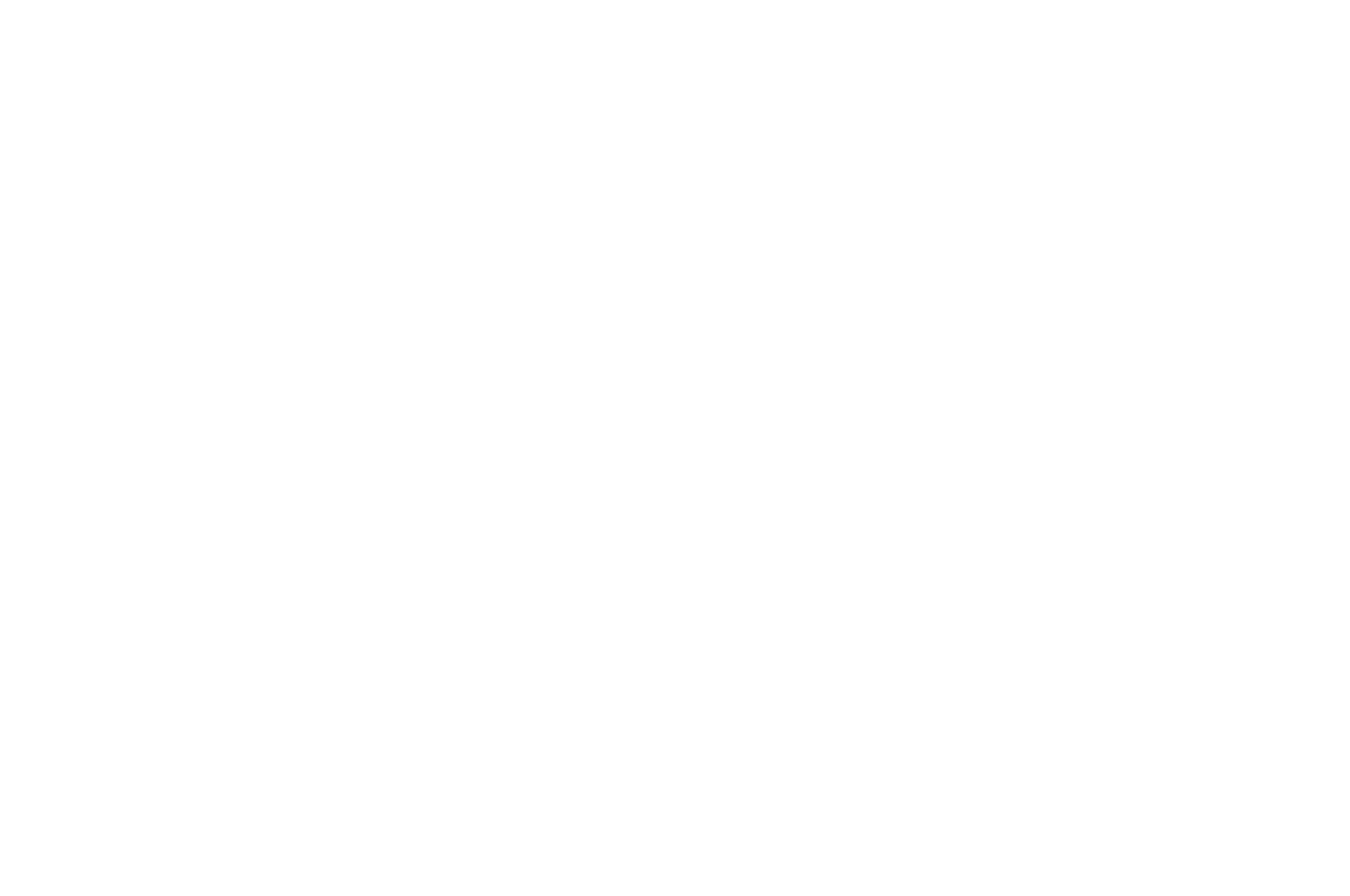 ReelGenius Award
