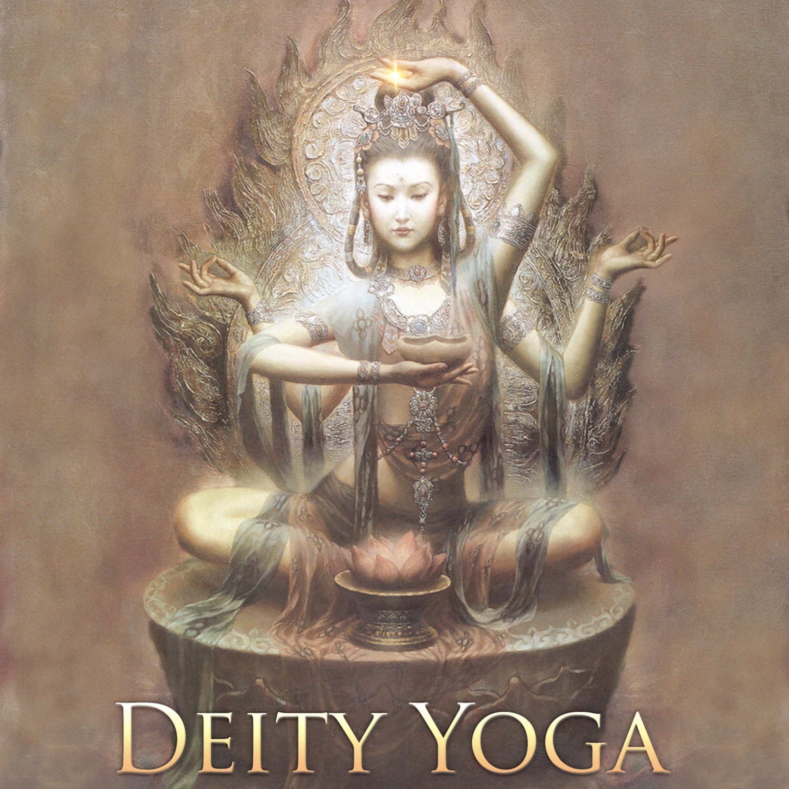 pink flowers on body of water