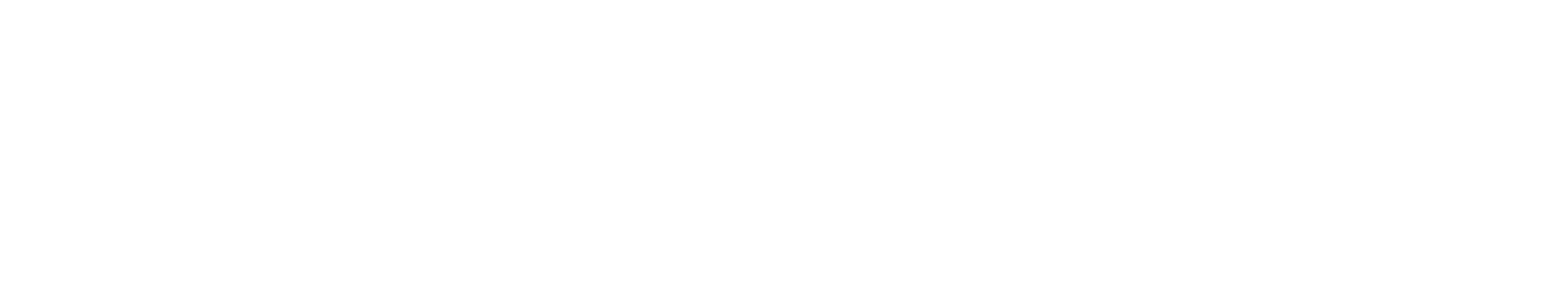 Olyzon
