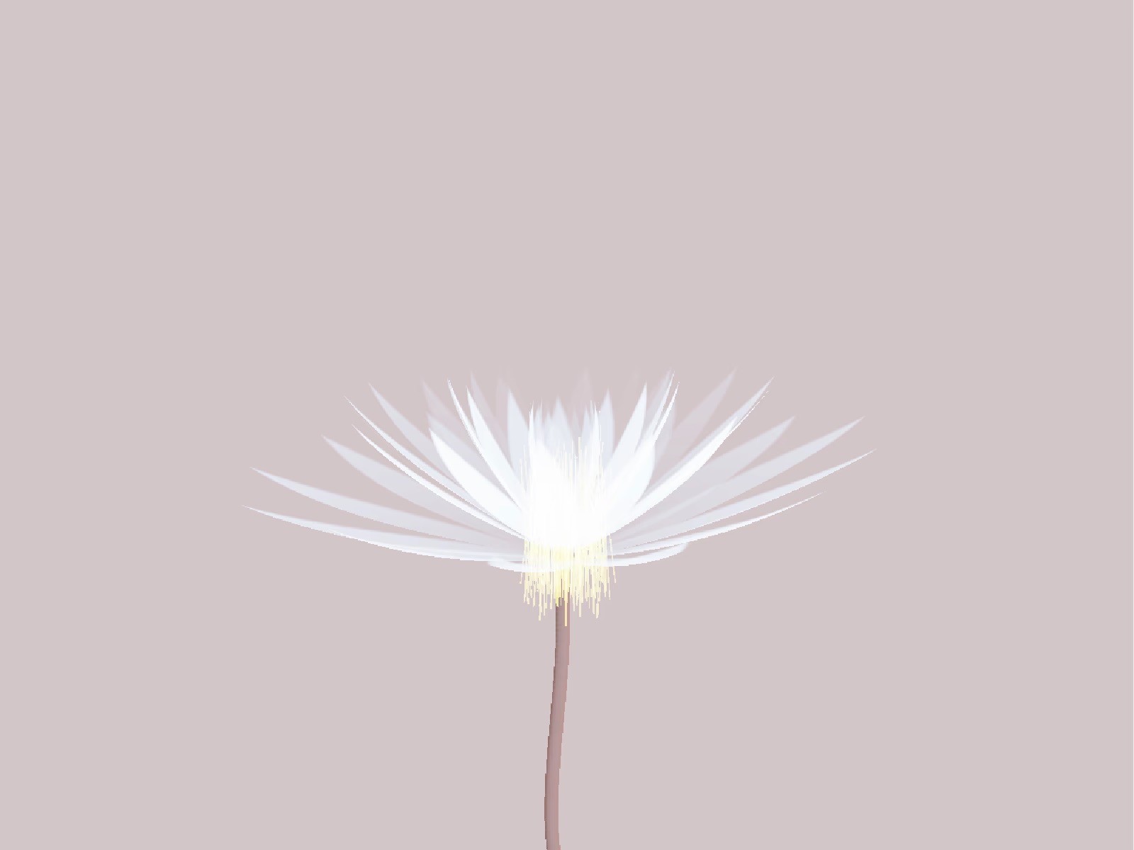 Three.js Interactive Flower - Framer Component