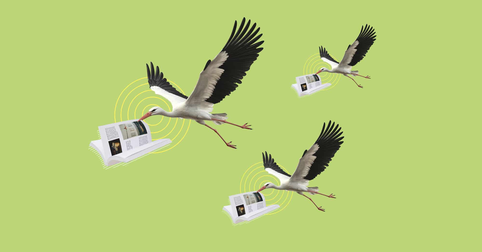 Cigüeñas volando con revistas en el pico sobre fondo verde, diseño creativo y moderno.