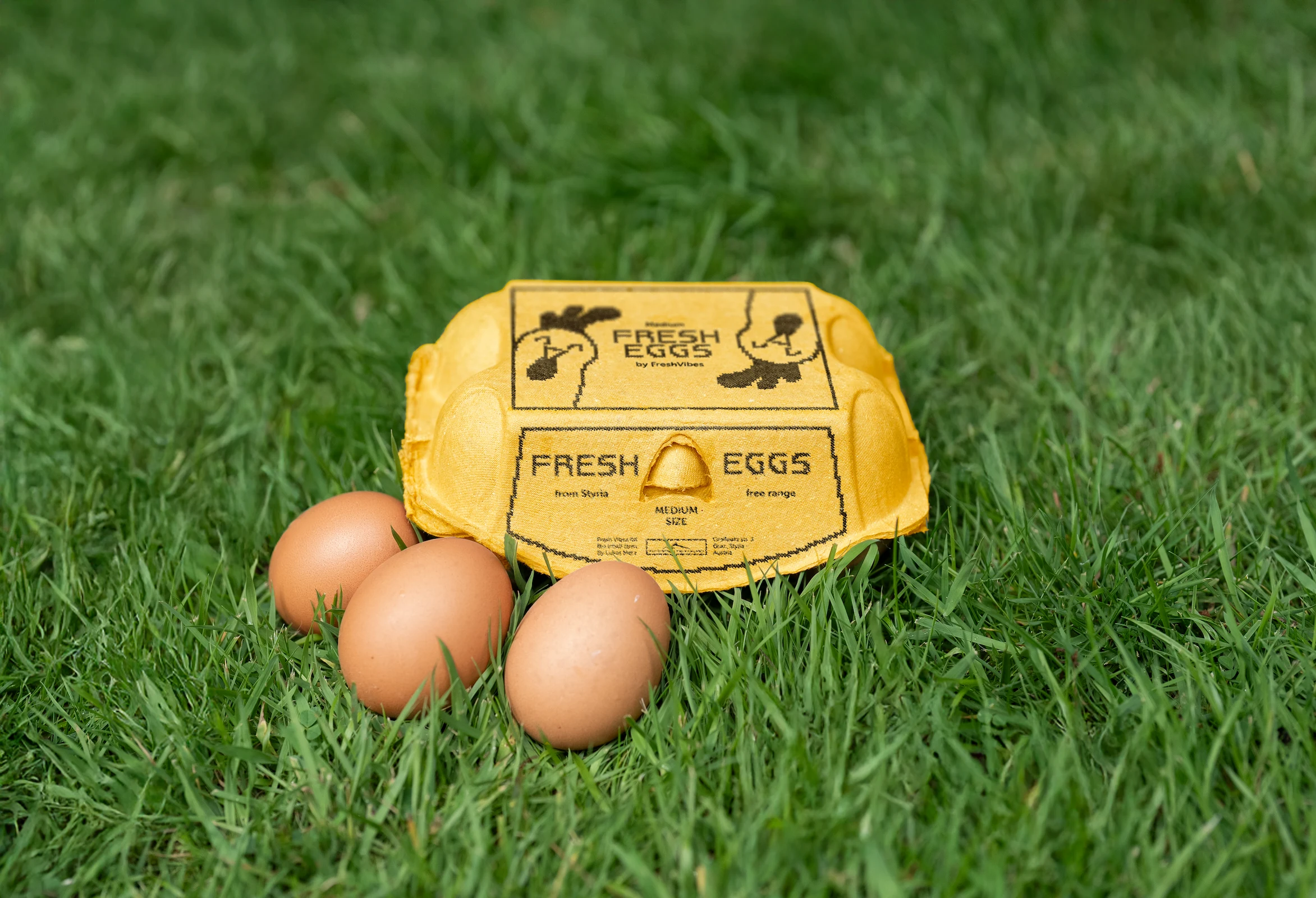 egg packaging of freshvibes