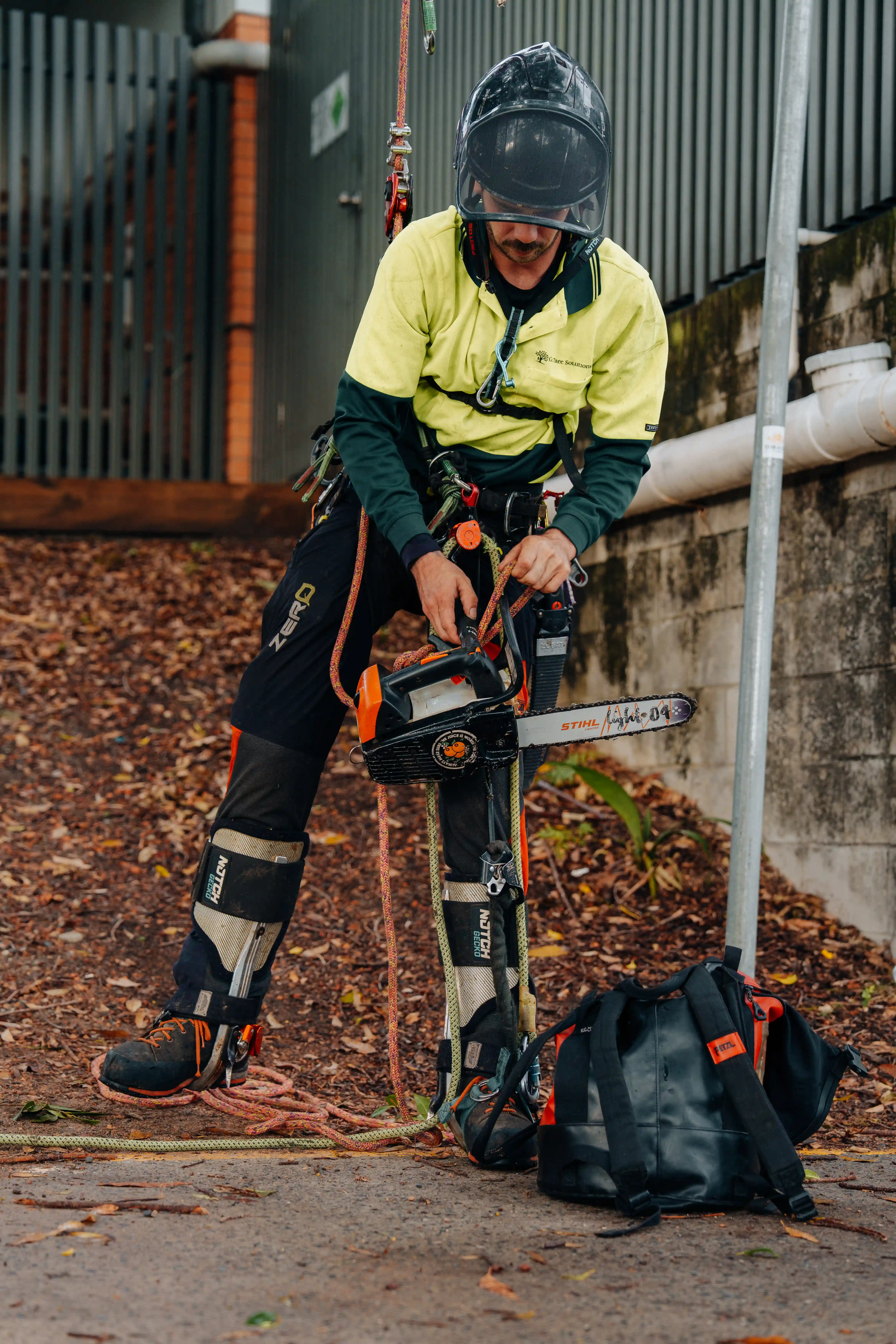Arborist pruning branches
