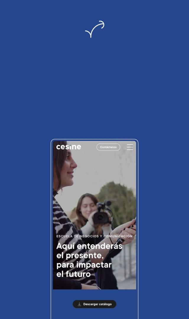 Cover Cesine Negocios