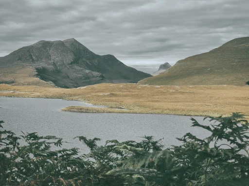 Loch shore, late August