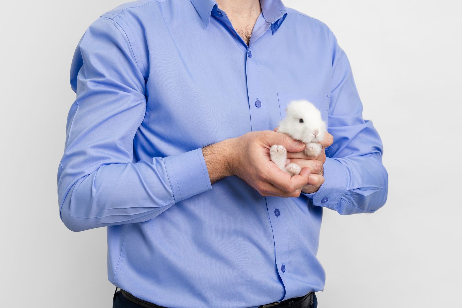 How to Get Rid of Mites on Rabbits?