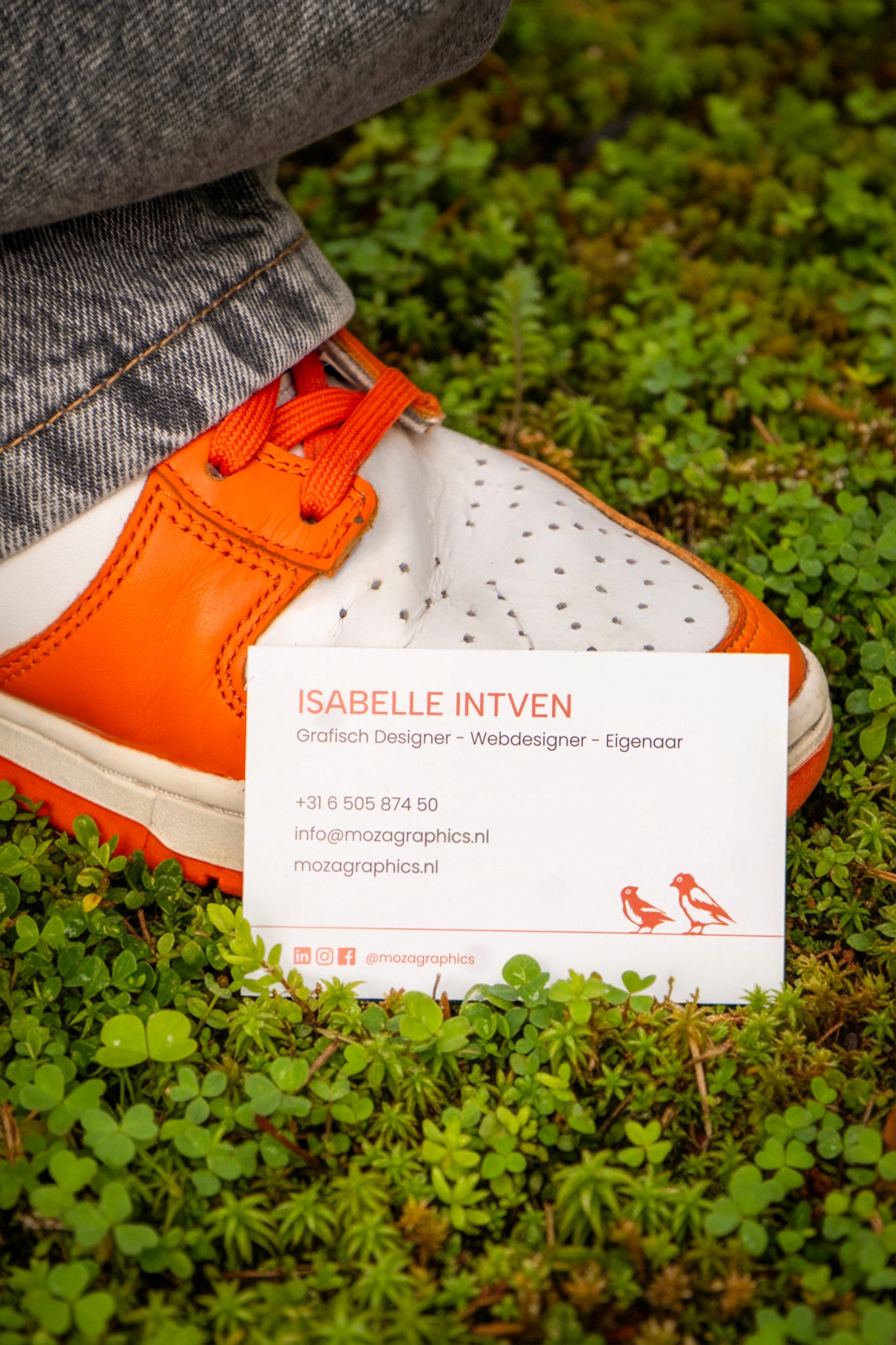 Testing & Optimization