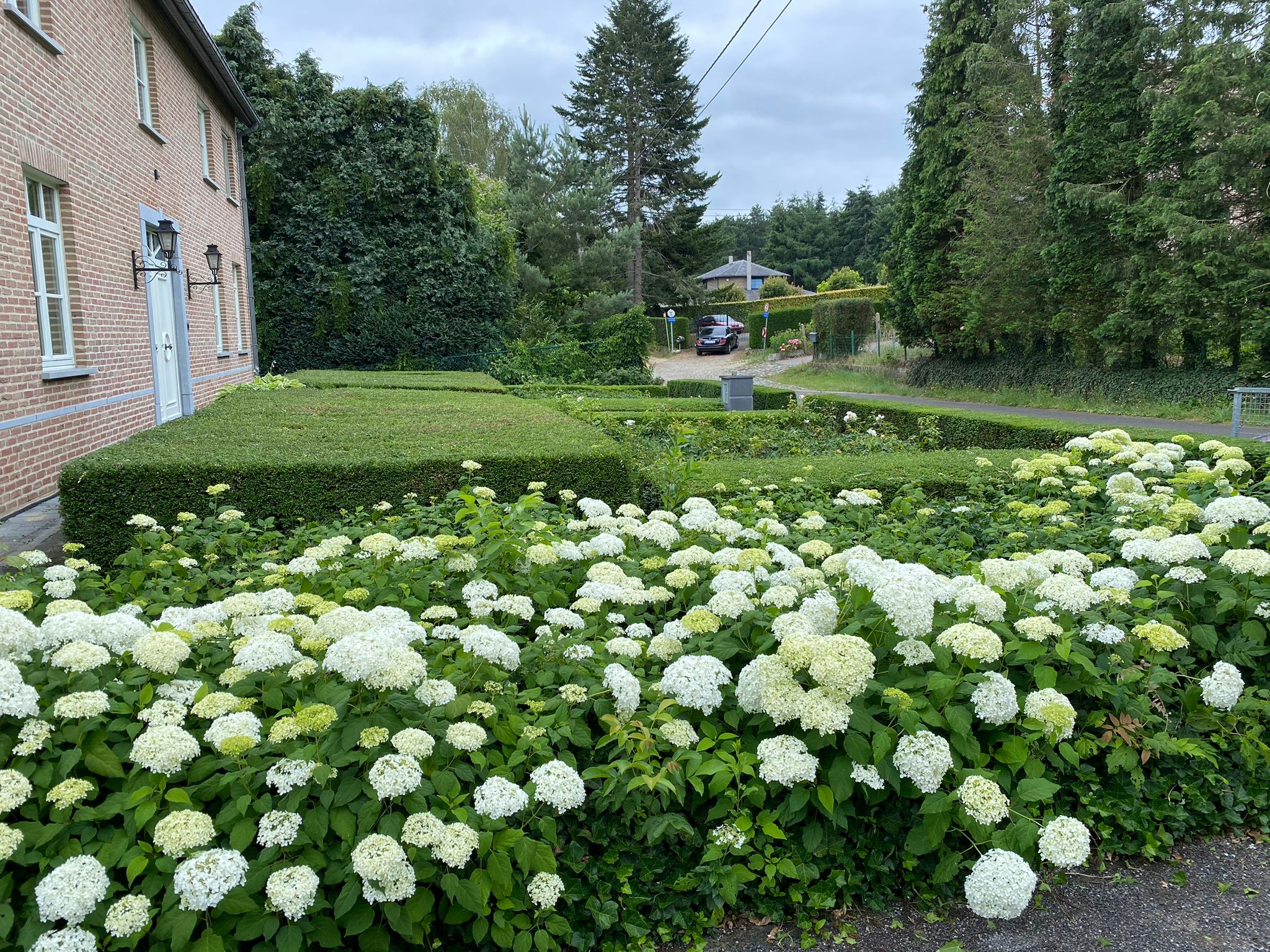 Tuinonderhoud en onderhoudscontract in Rotselaar en omstreken door Wilmaerts Tuinaanleg