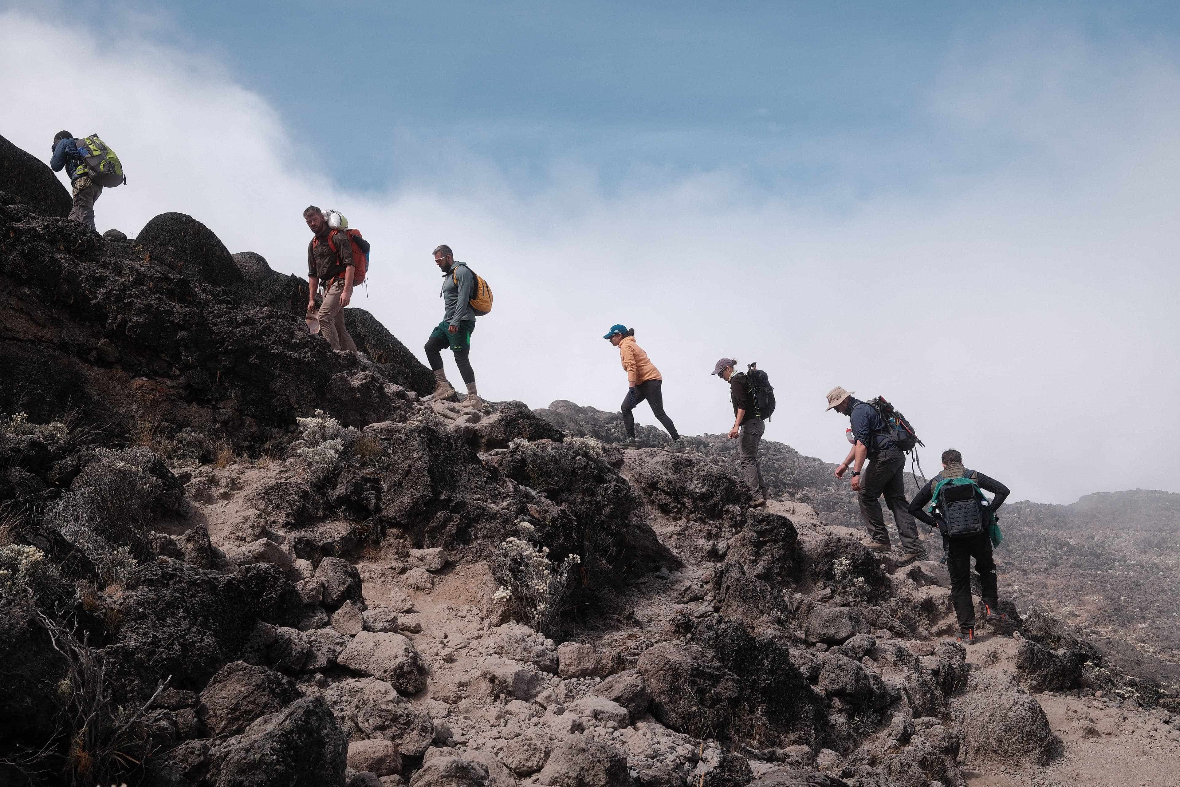 A Legend Expeditions group walking pole pole on Kilimanjaro, the slow pace required for proper altitude acclimatisation.