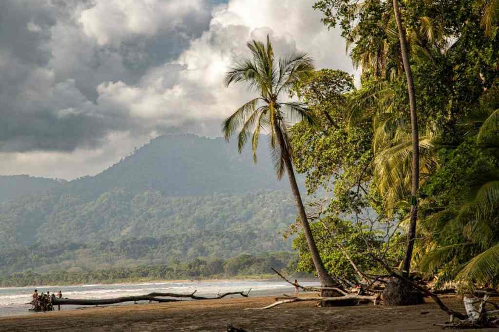 the coast of uvita, costa rica