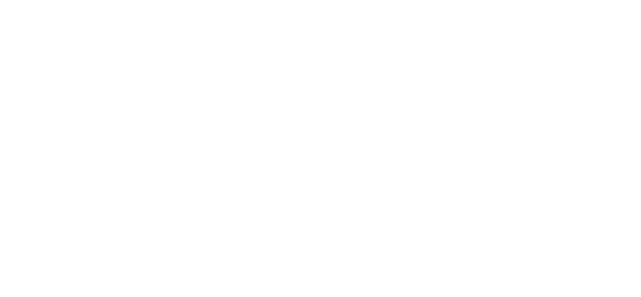 Via Transporation logo (white mask)