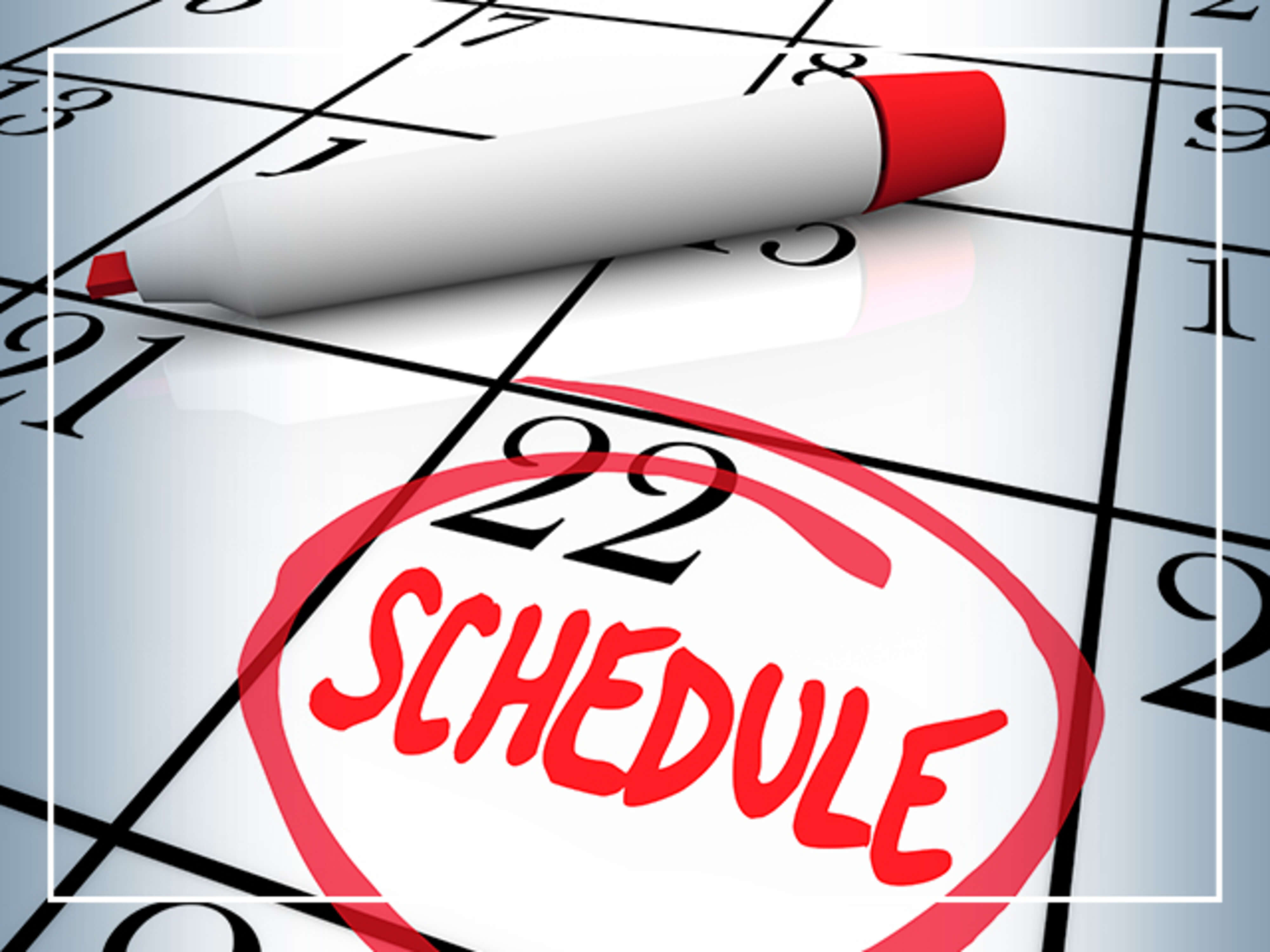 Project Timeline and Scheduling