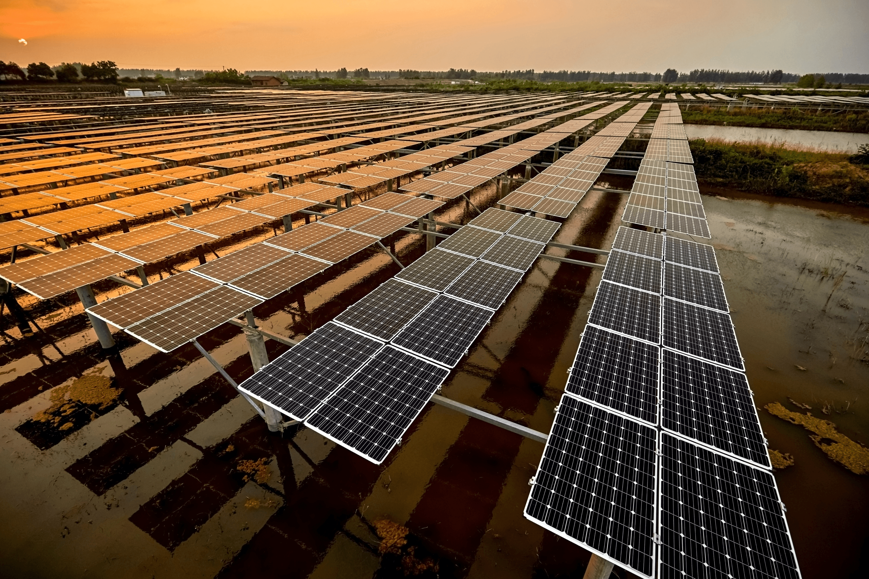 Solar panel field from above